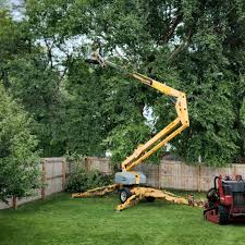 Best Tree Risk Assessment  in Clinton, UT